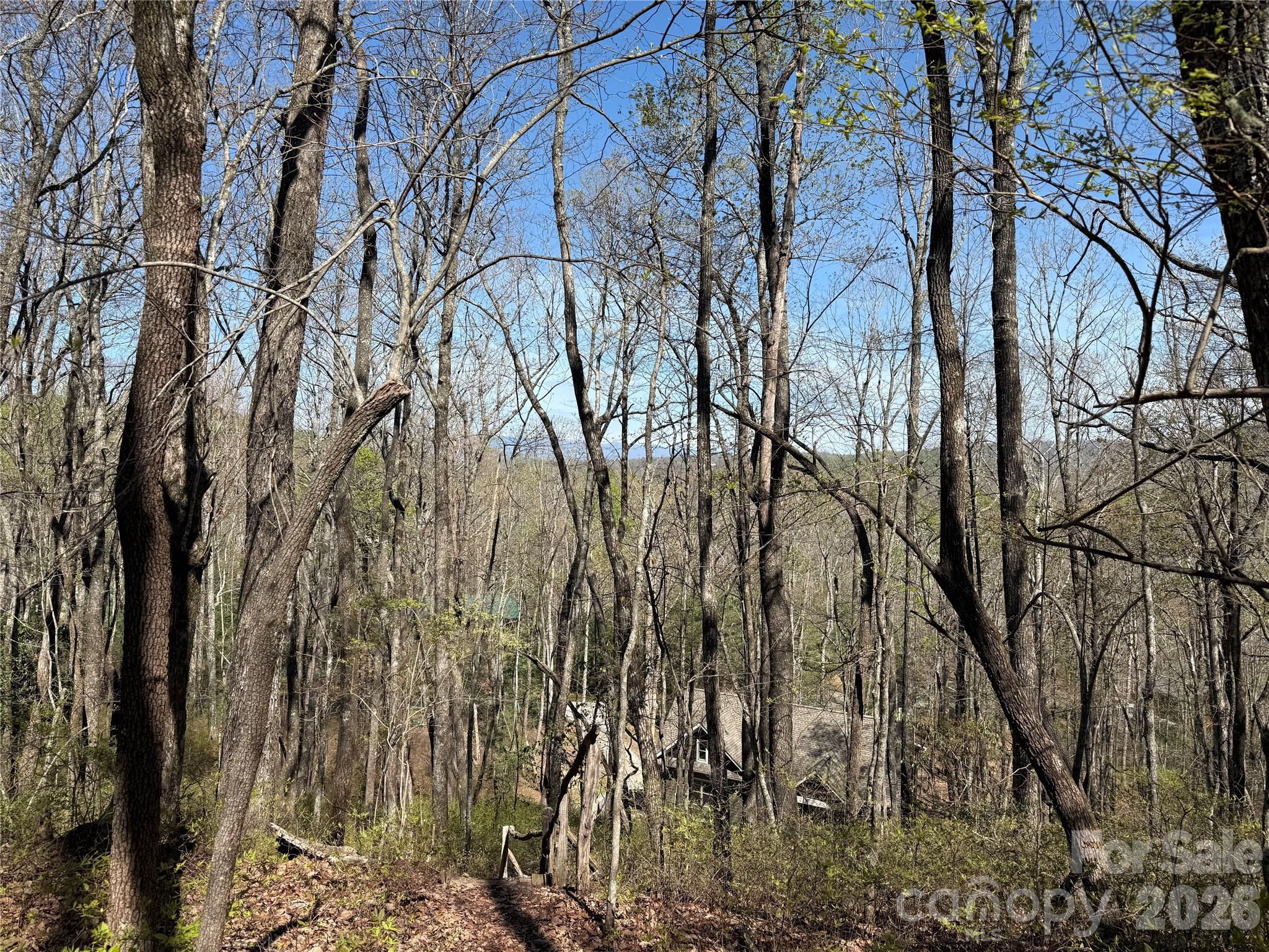 Tbd White Oak Terrace Brevard NC 28712