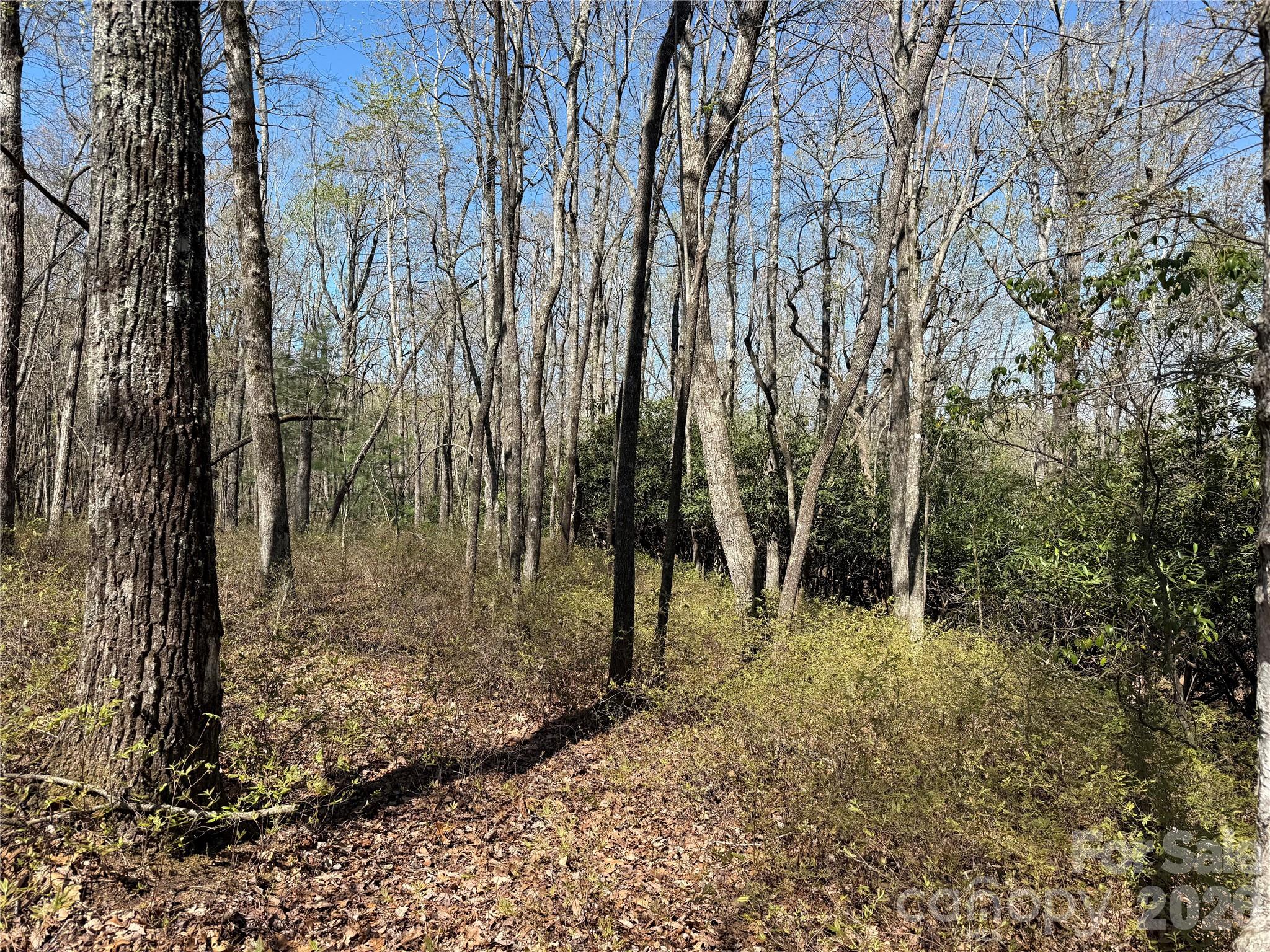 Tbd White Oak Terrace Brevard NC 28712