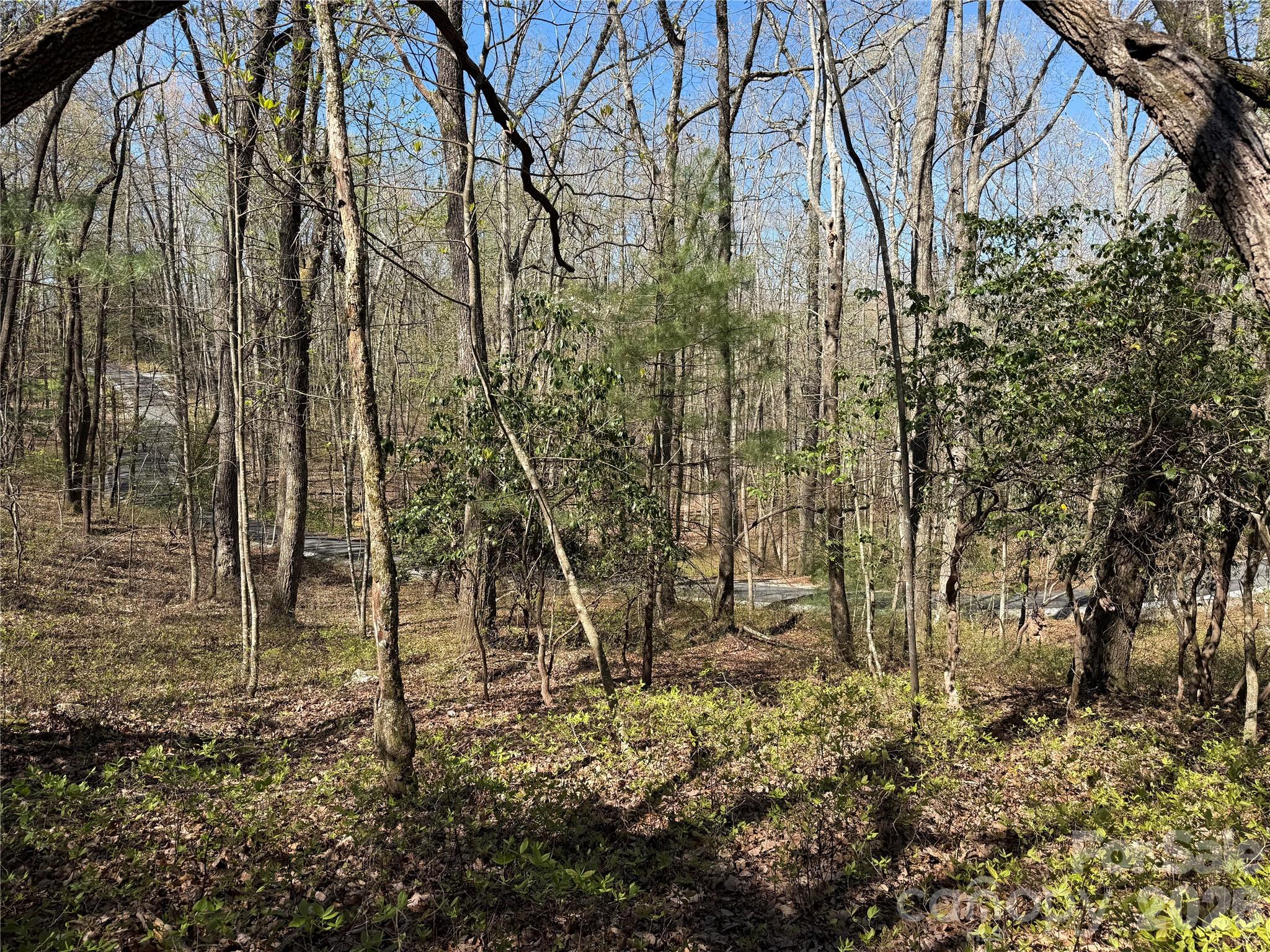 Tbd White Oak Terrace Brevard NC 28712