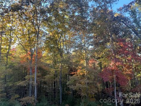 99999 Pole Creasman Road Asheville NC 28806