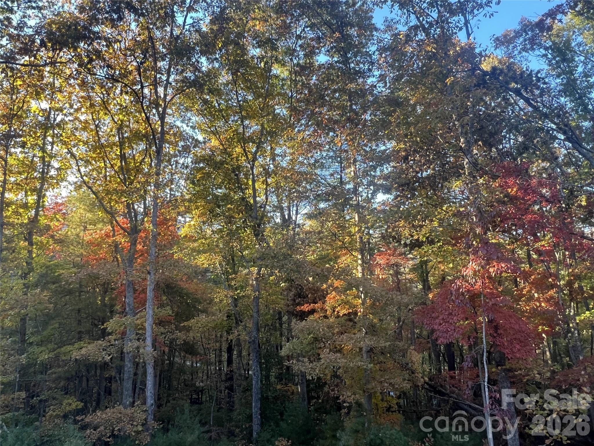 99999 Pole Creasman Road Asheville NC 28806