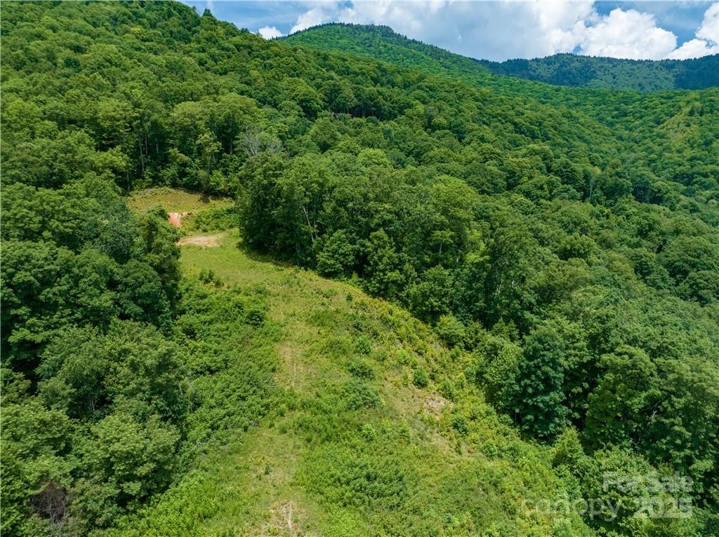 3867 Parris Branch Road Sylva NC 28779