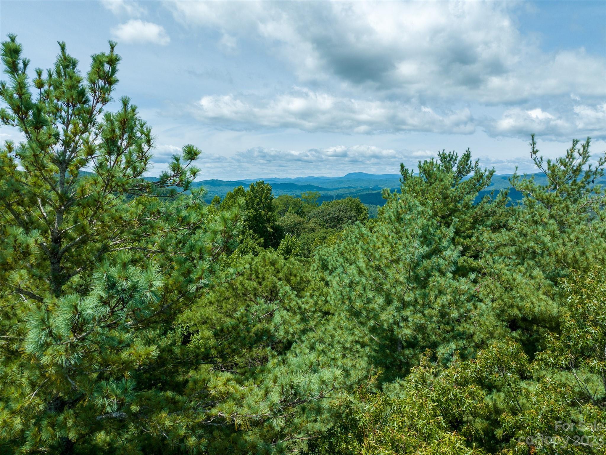 Lot 20 A-r Windsong Lane Brevard NC 28712
