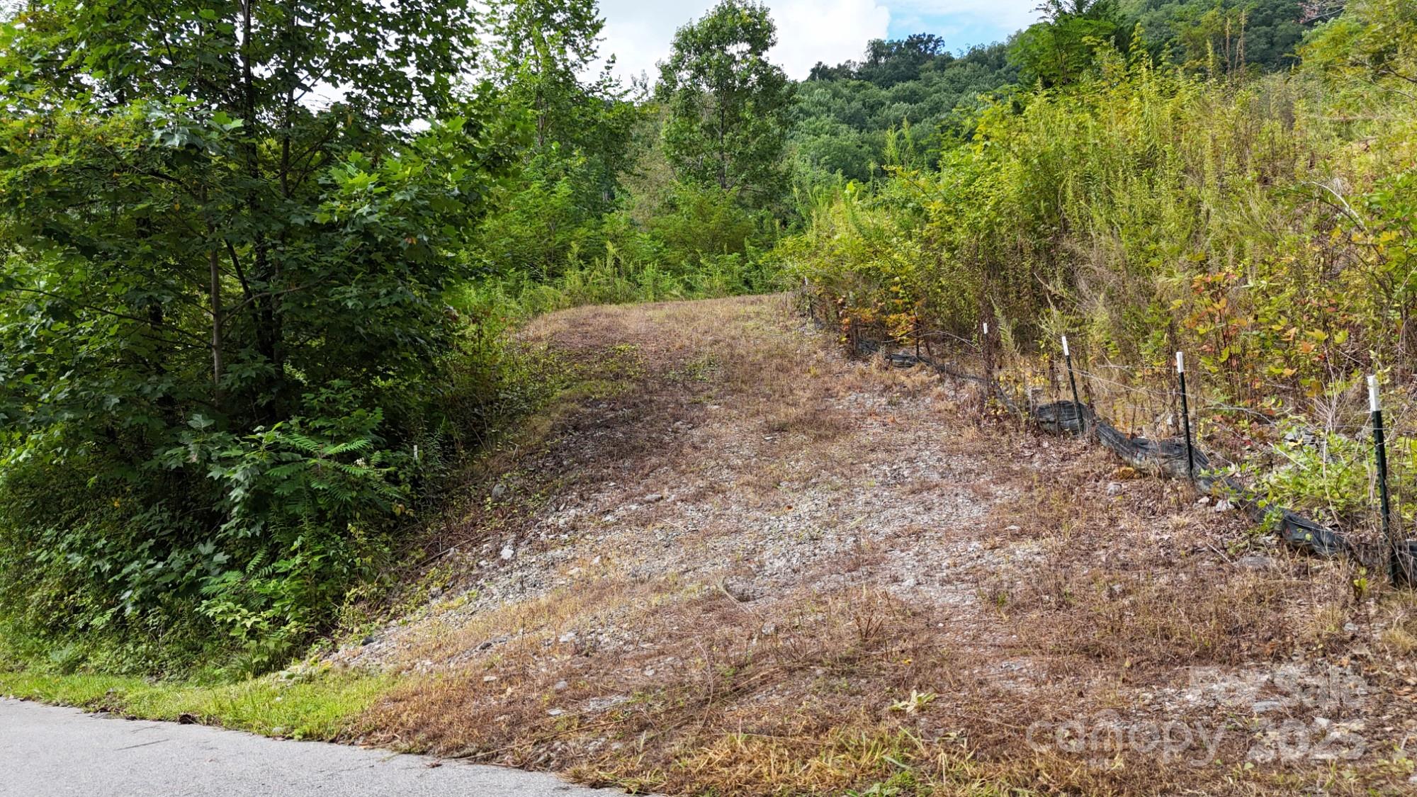 Lot 15 Constitution Avenue Waynesville NC 28785