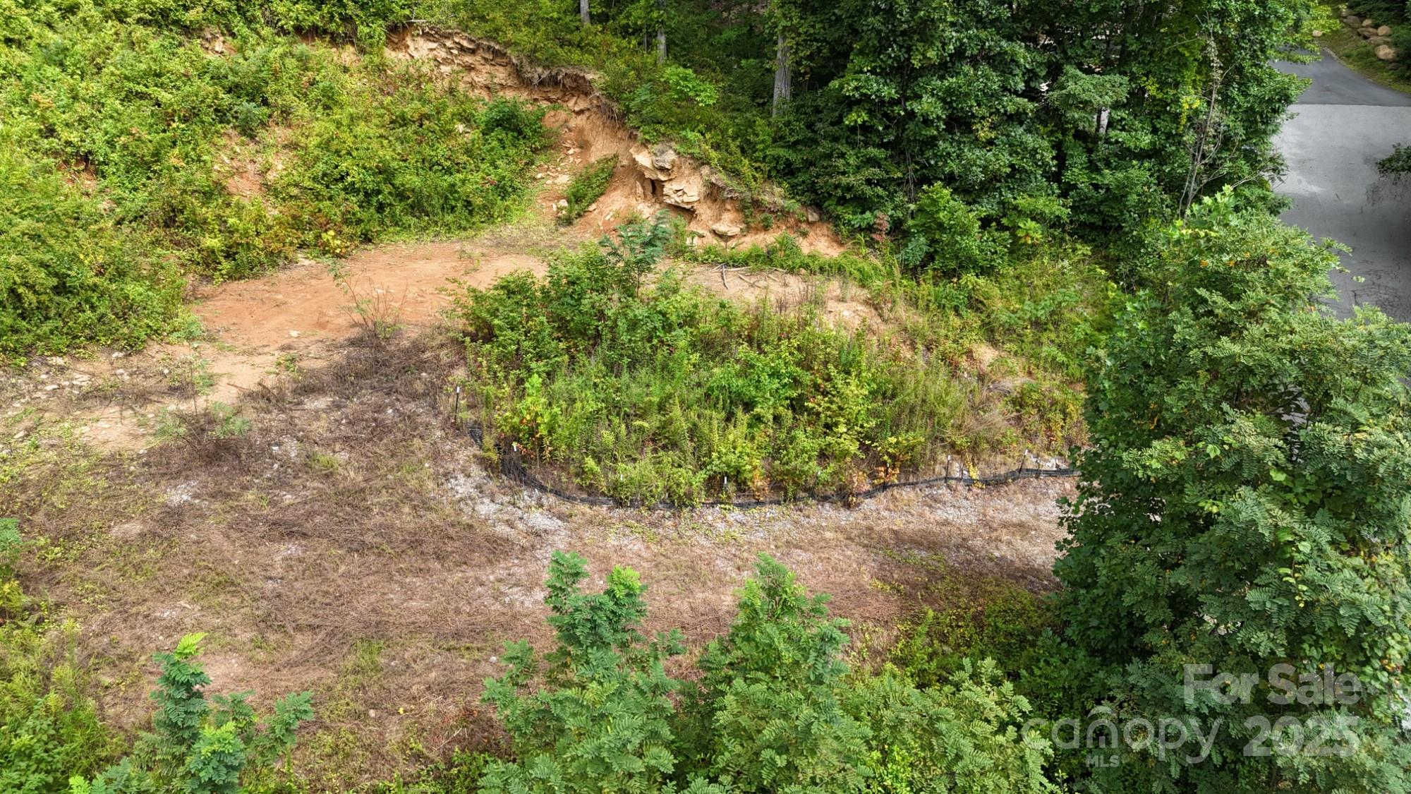Lot 15 Constitution Avenue Waynesville NC 28785