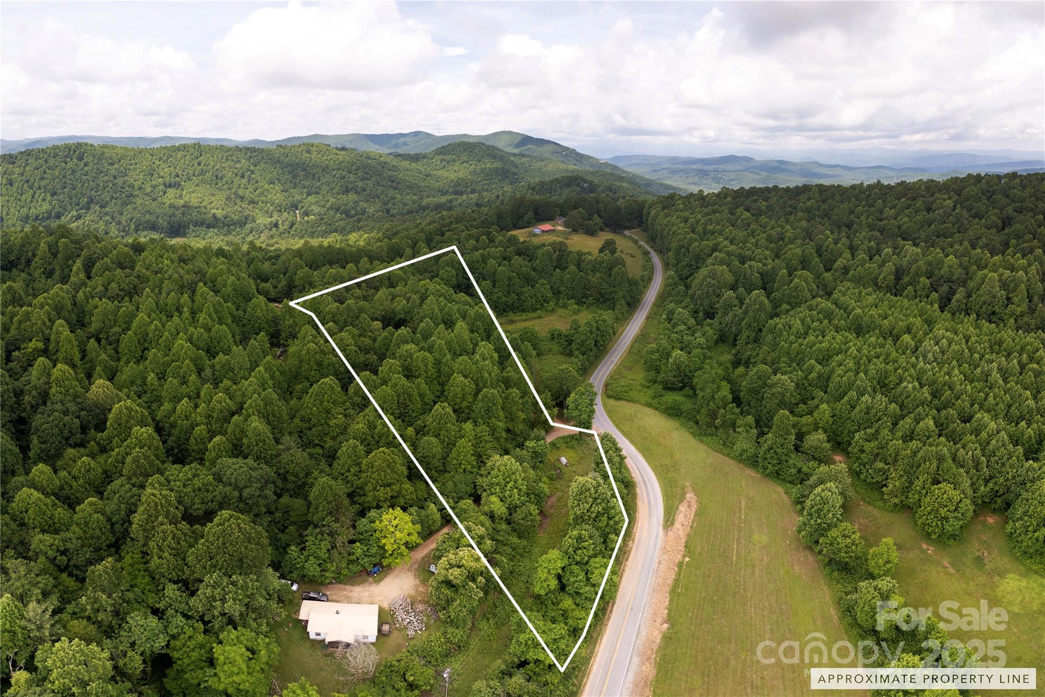 00 Pinnacle Mountain Road Zirconia NC 28790