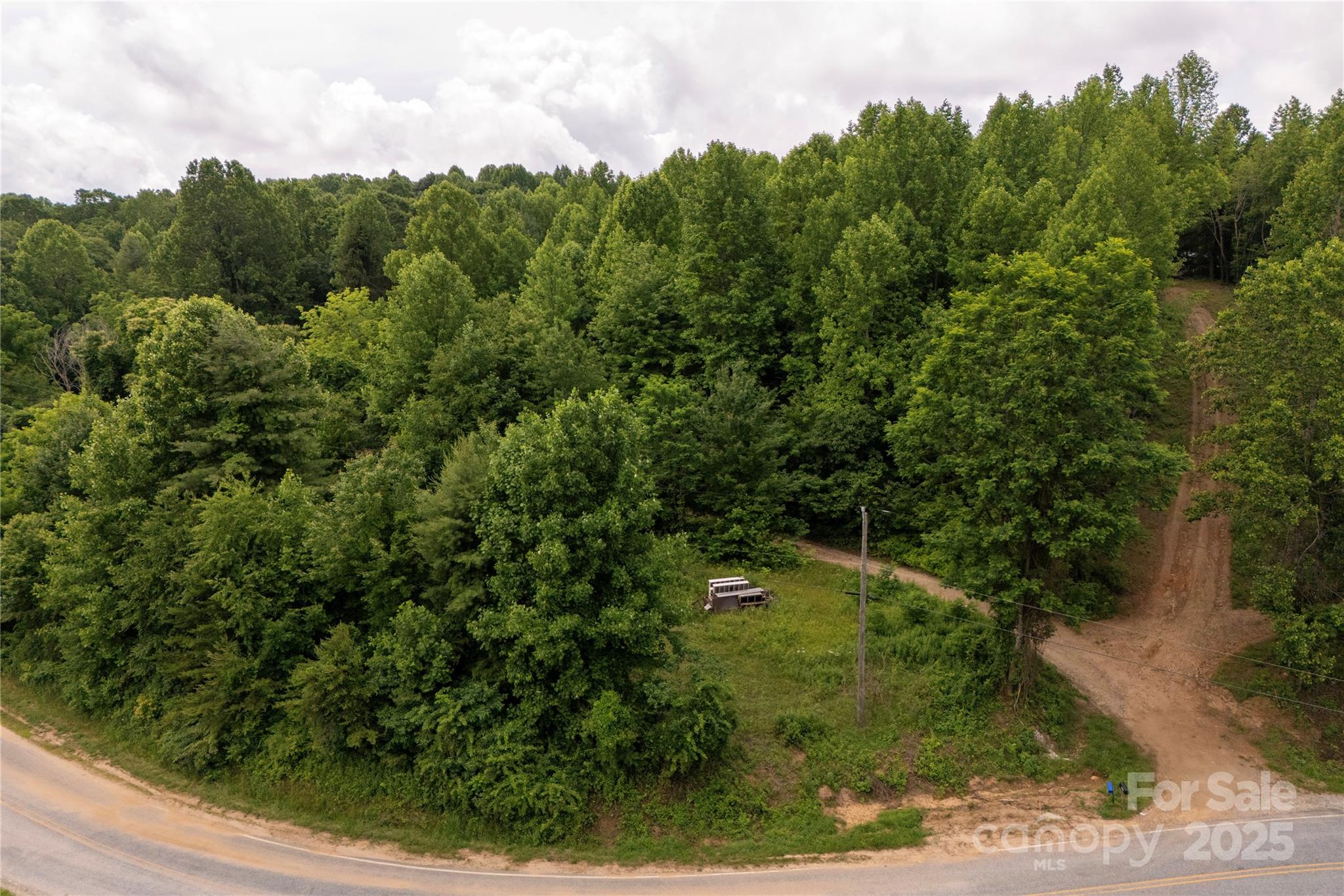 00 Pinnacle Mountain Road Zirconia NC 28790