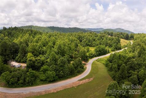 00 Pinnacle Mountain Road Zirconia NC 28790