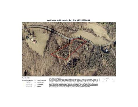 00 Pinnacle Mountain Road Zirconia NC 28790
