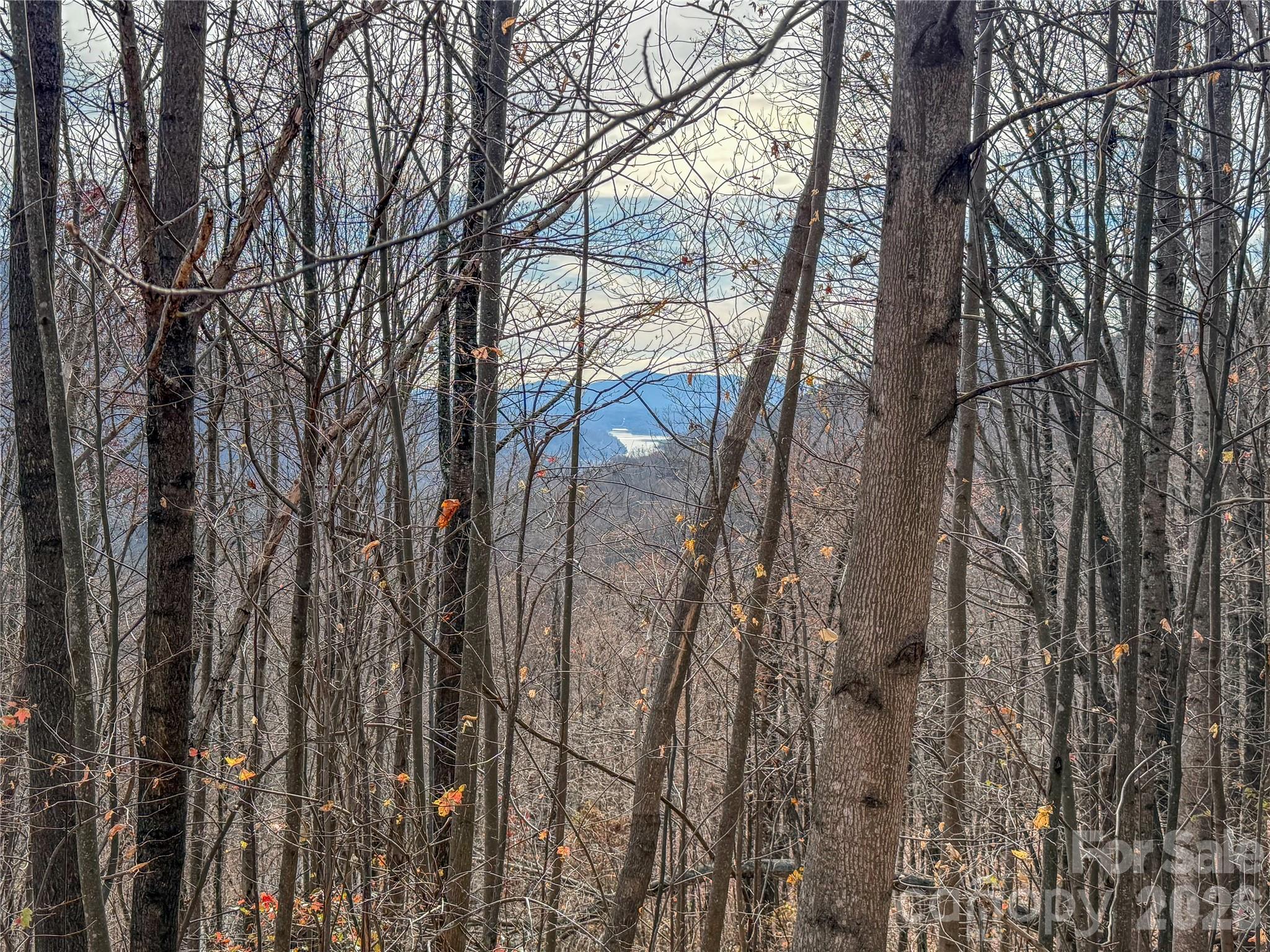 Lot 375 Rolling Ridge Trail Lake Lure NC 28746