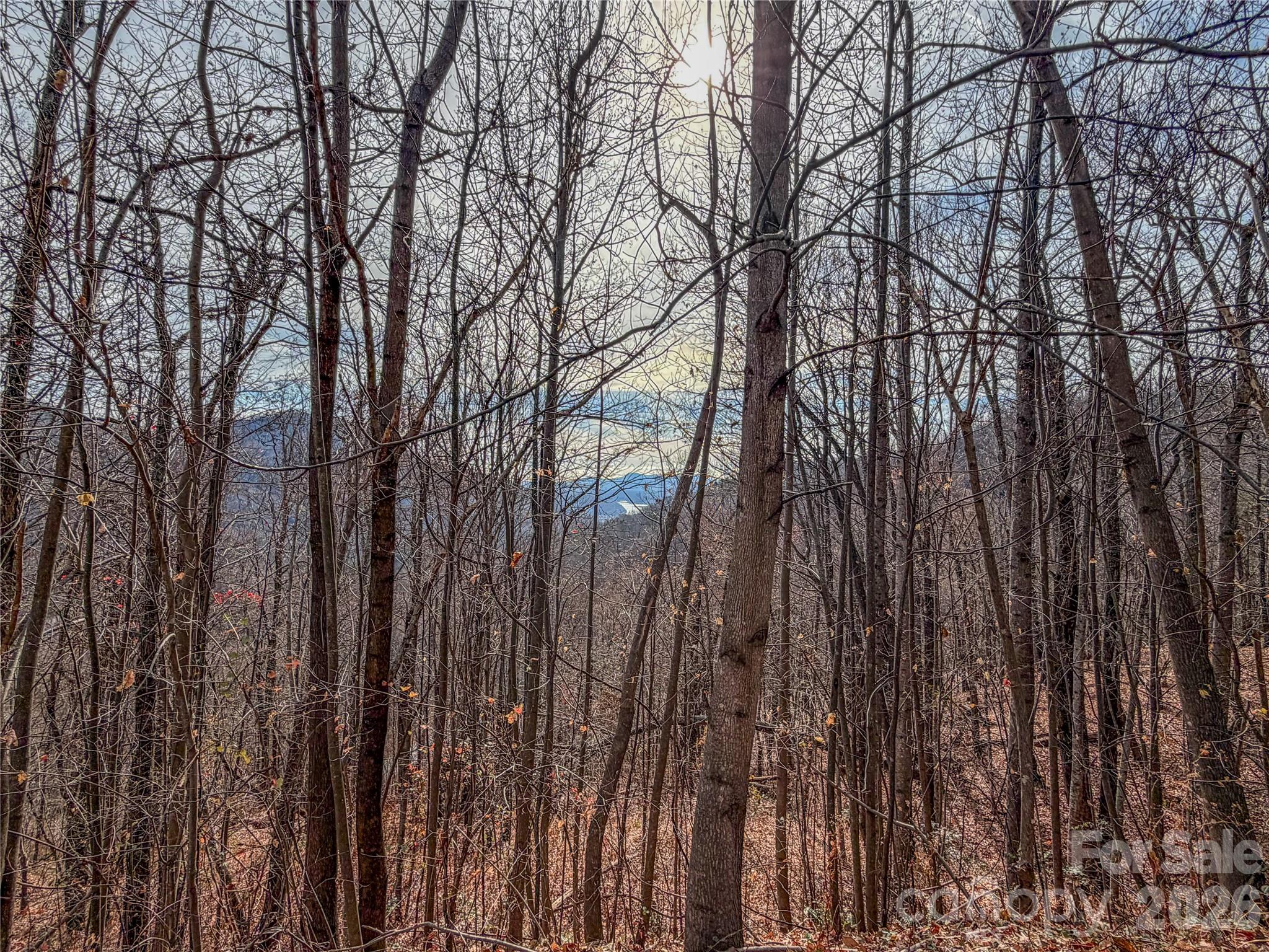 Lot 375 Rolling Ridge Trail Lake Lure NC 28746