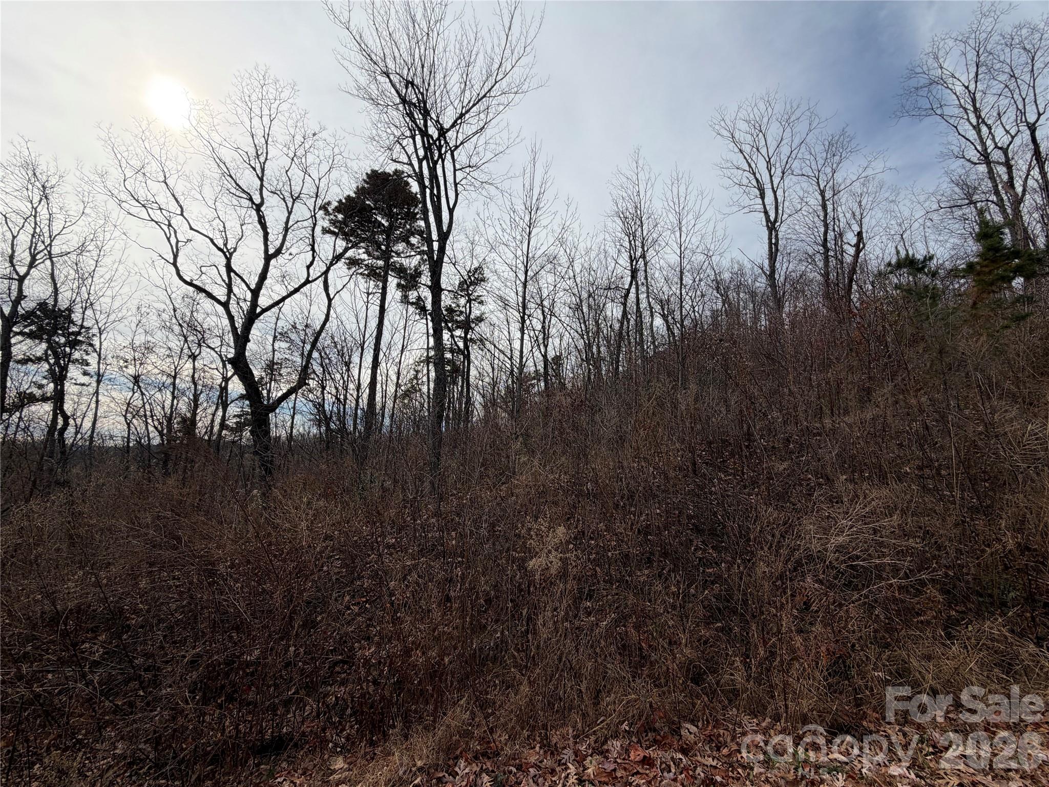 Lot 375 Rolling Ridge Trail Lake Lure NC 28746
