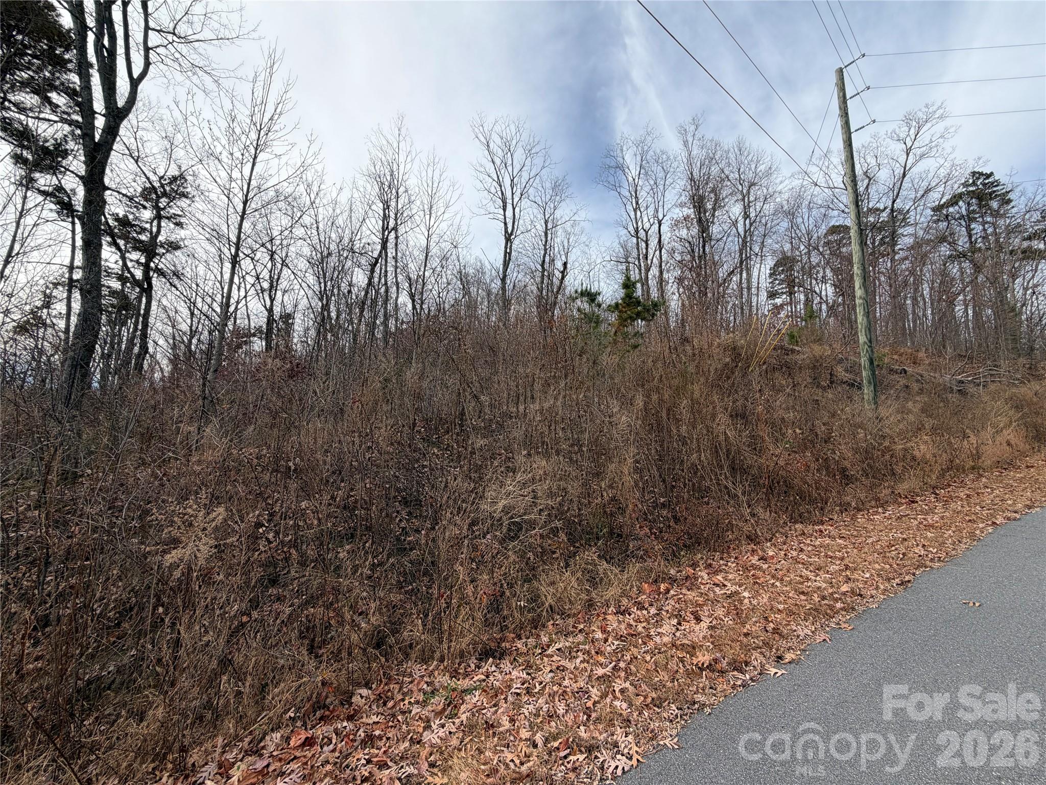 Lot 375 Rolling Ridge Trail Lake Lure NC 28746