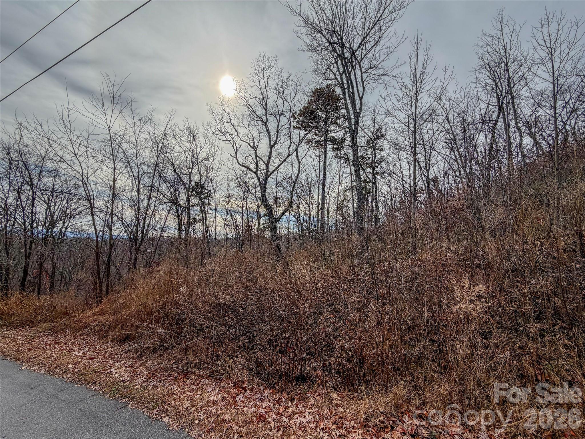 Lot 375 Rolling Ridge Trail Lake Lure NC 28746