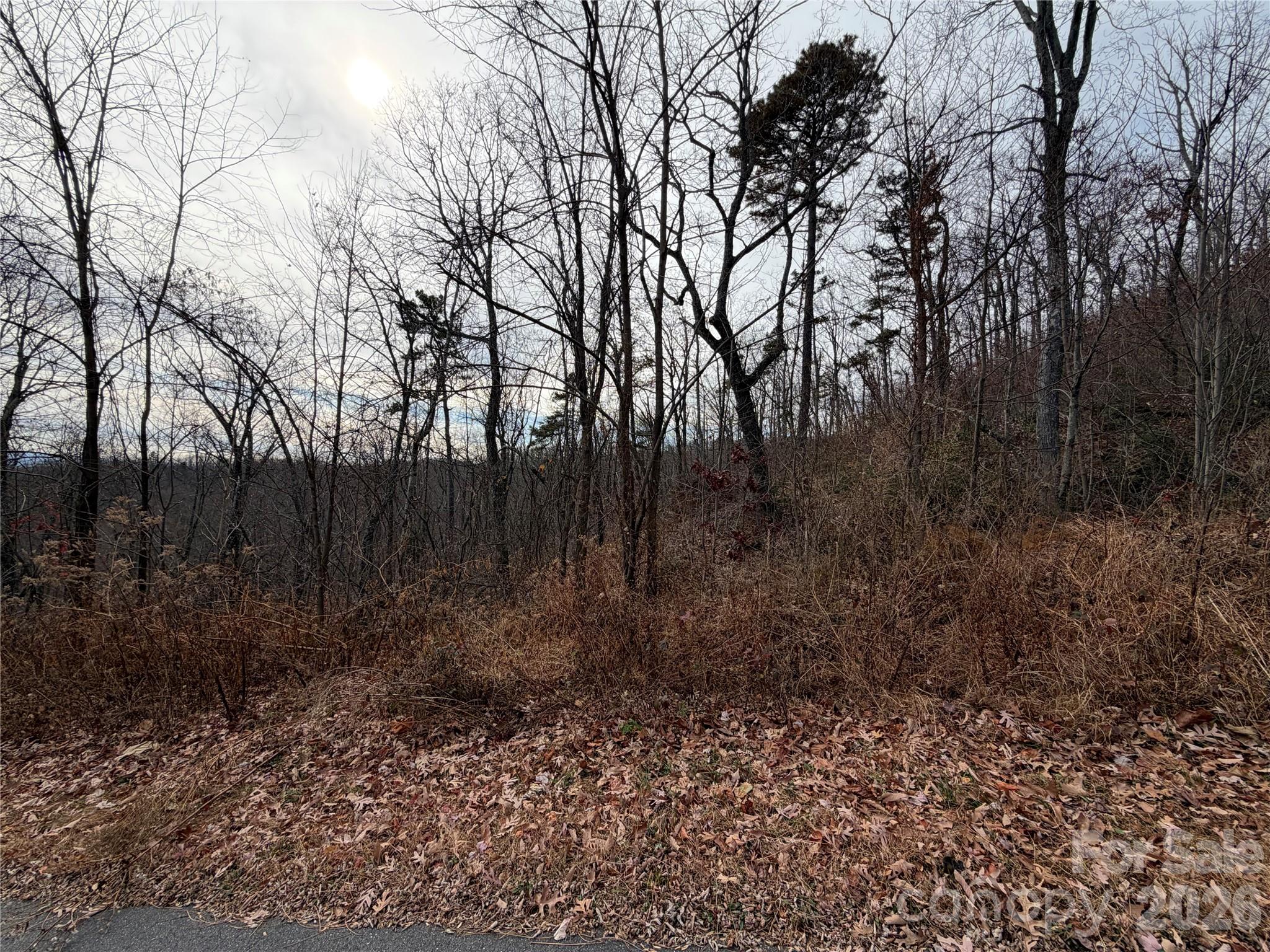 Lot 375 Rolling Ridge Trail Lake Lure NC 28746