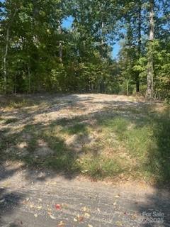 0 Mcgill Road Smyrna SC 29743