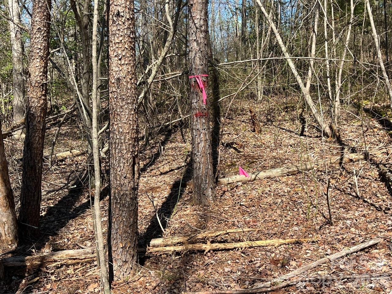 V/l Vein Mountain Road Nebo NC 28761