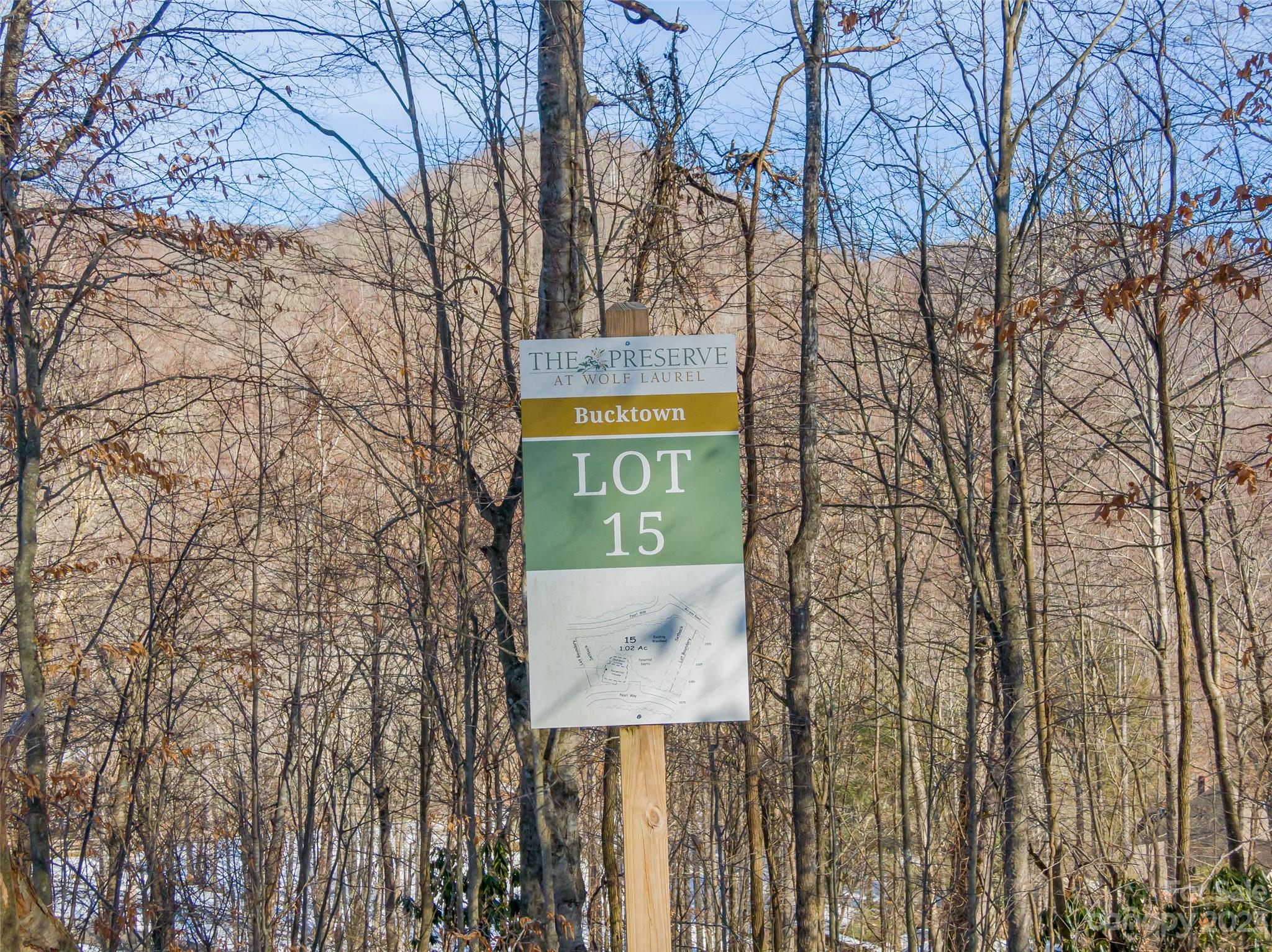 Lot 15 Hadleigh Pearl Way Mars Hill NC 28754