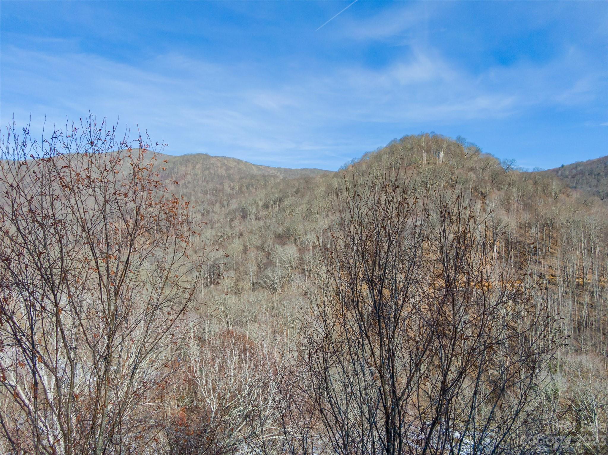 Lot 15 Hadleigh Pearl Way Mars Hill NC 28754