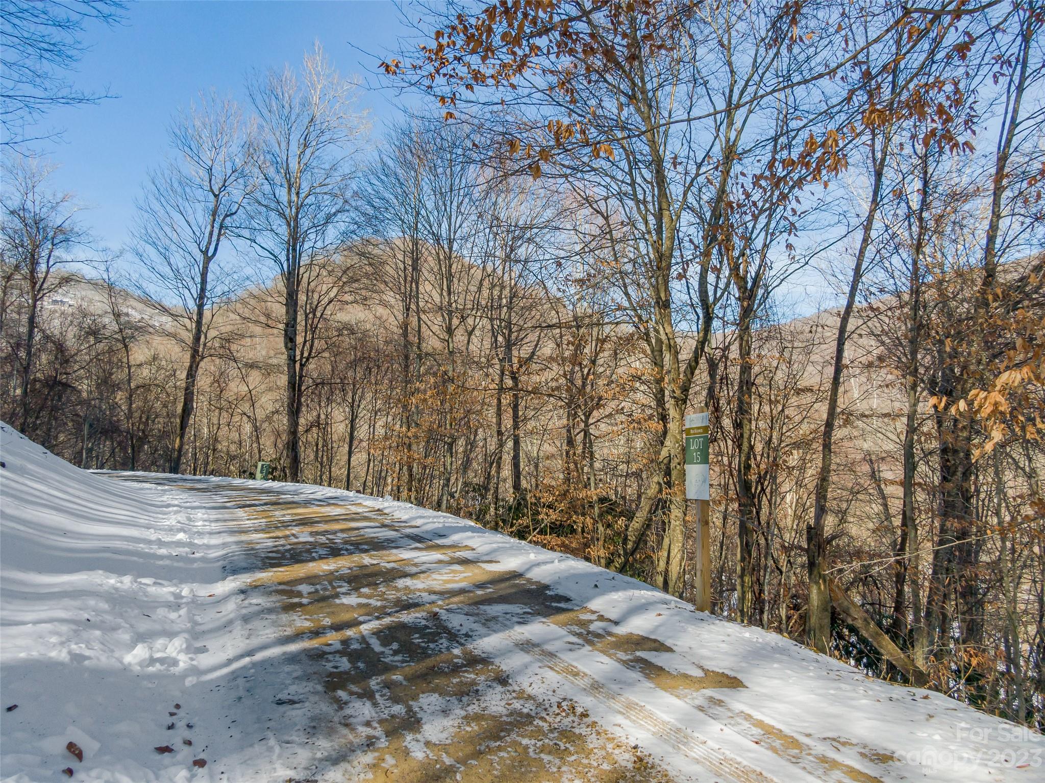 Lot 15 Hadleigh Pearl Way Mars Hill NC 28754