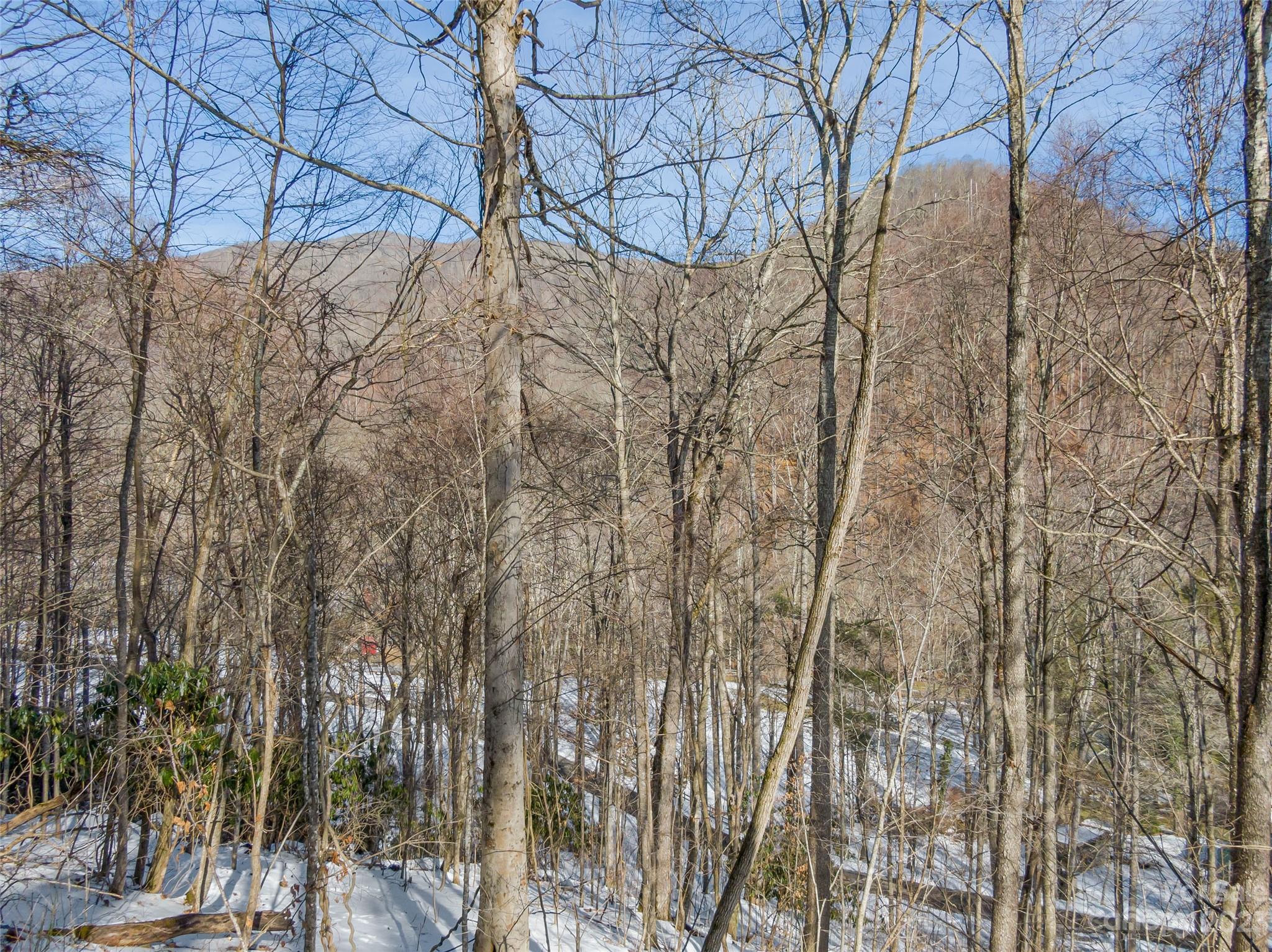 Lot 15 Hadleigh Pearl Way Mars Hill NC 28754