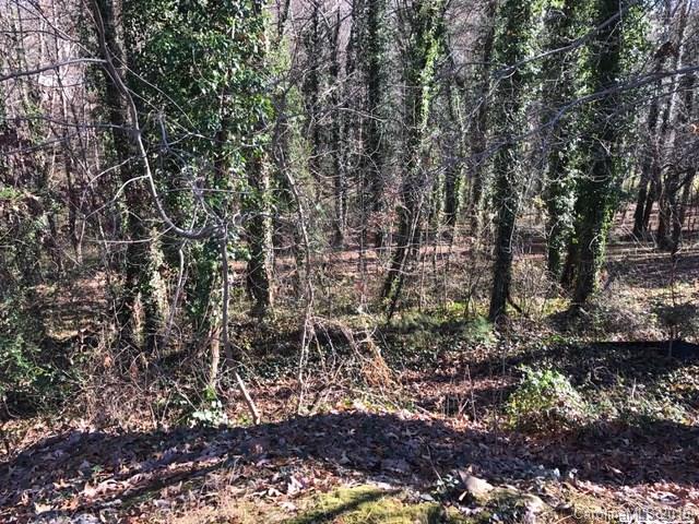 113 Tail Feather Lane Candler NC 28715