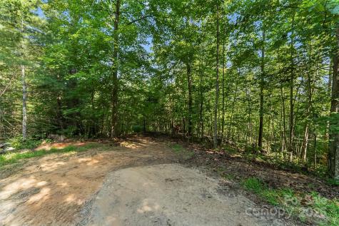 Ville Horizon Drive Nebo NC 28761
