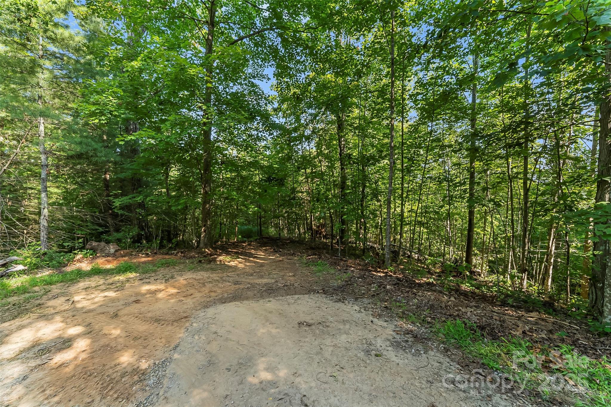 Ville Horizon Drive Nebo NC 28761
