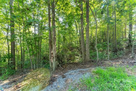 Ville Horizon Drive Nebo NC 28761