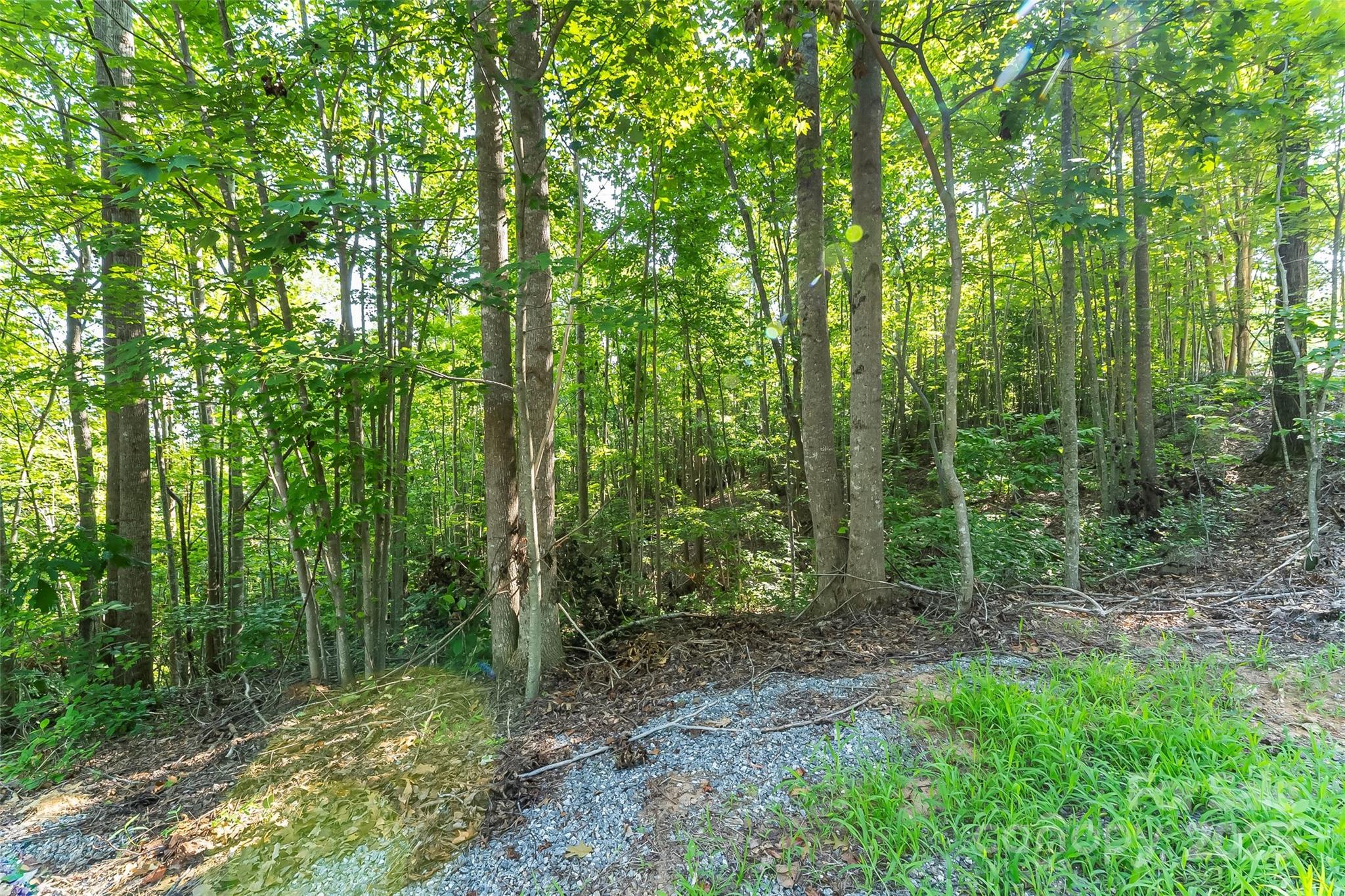 Ville Horizon Drive Nebo NC 28761