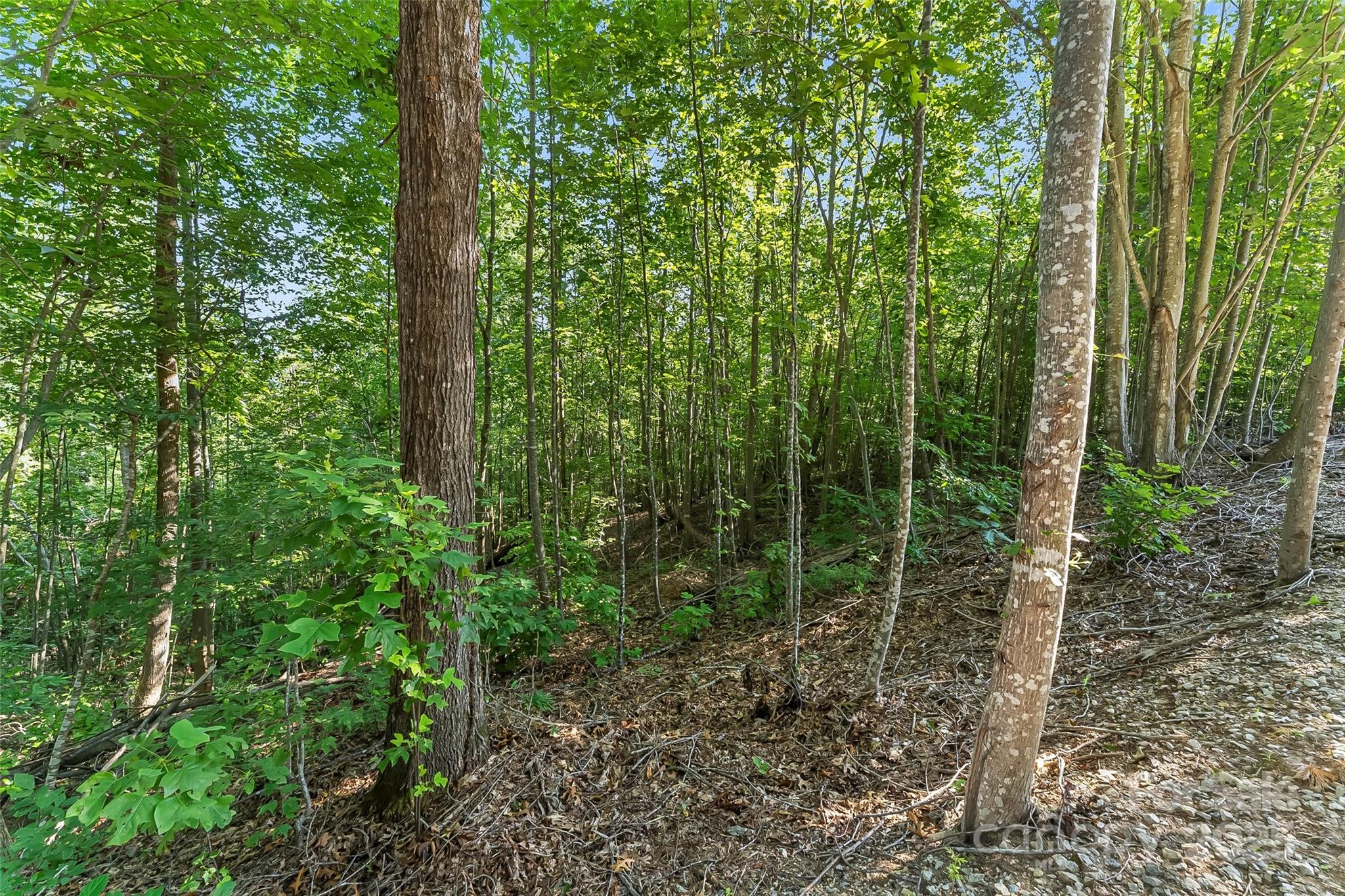 Ville Horizon Drive Nebo NC 28761