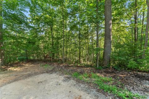 Ville Horizon Drive Nebo NC 28761