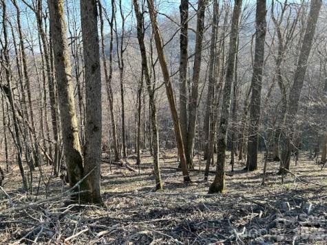 0000 Trillium Lane Mars Hill NC 28754