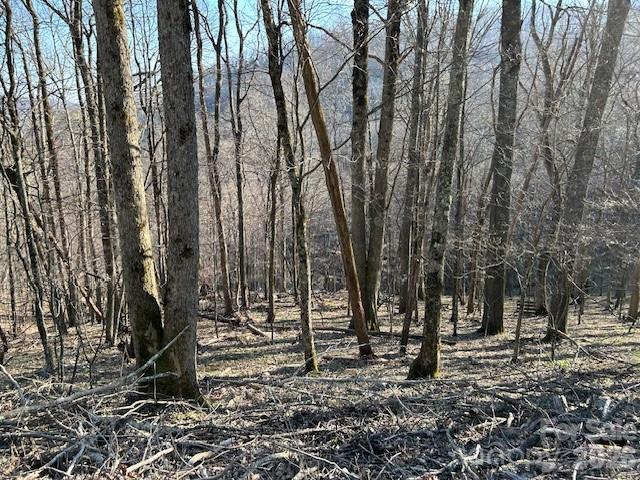 0000 Trillium Lane Mars Hill NC 28754