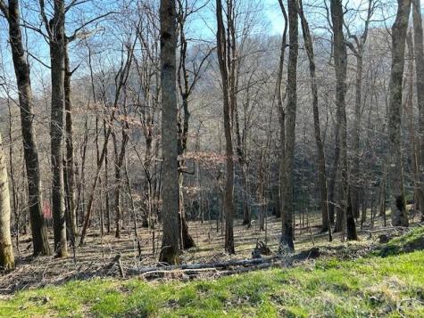 0000 Trillium Lane Mars Hill NC 28754