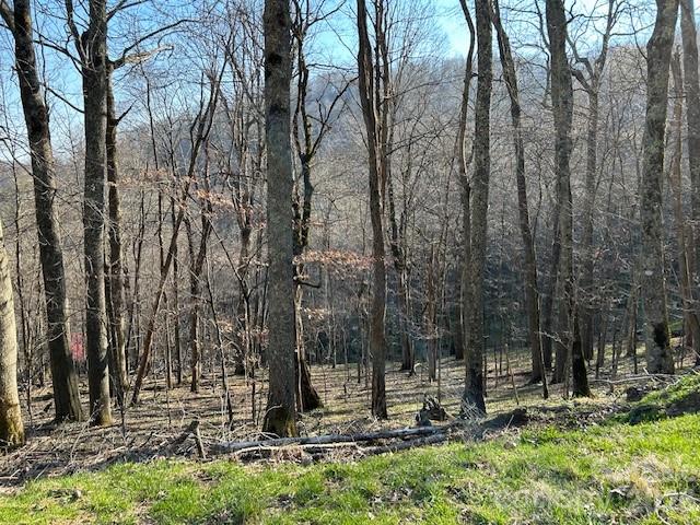 0000 Trillium Lane Mars Hill NC 28754