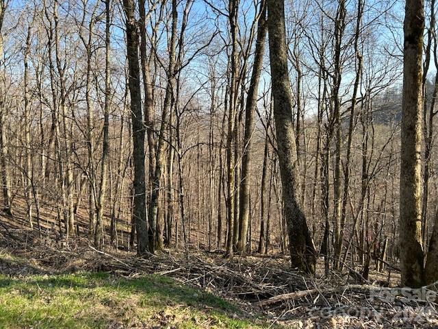 0000 Trillium Lane Mars Hill NC 28754