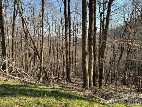 0000 Trillium Lane Mars Hill NC 28754