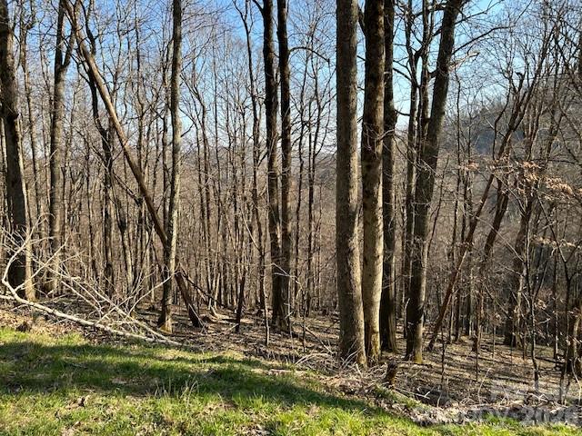 0000 Trillium Lane Mars Hill NC 28754