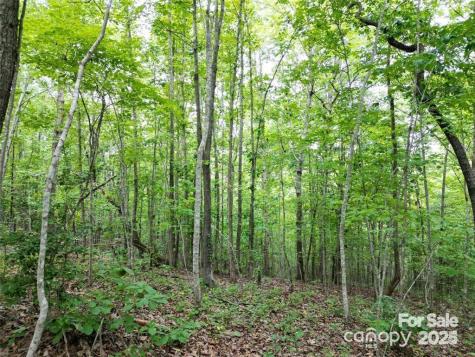 Lot 29 Watson Way Rockingham NC 28379