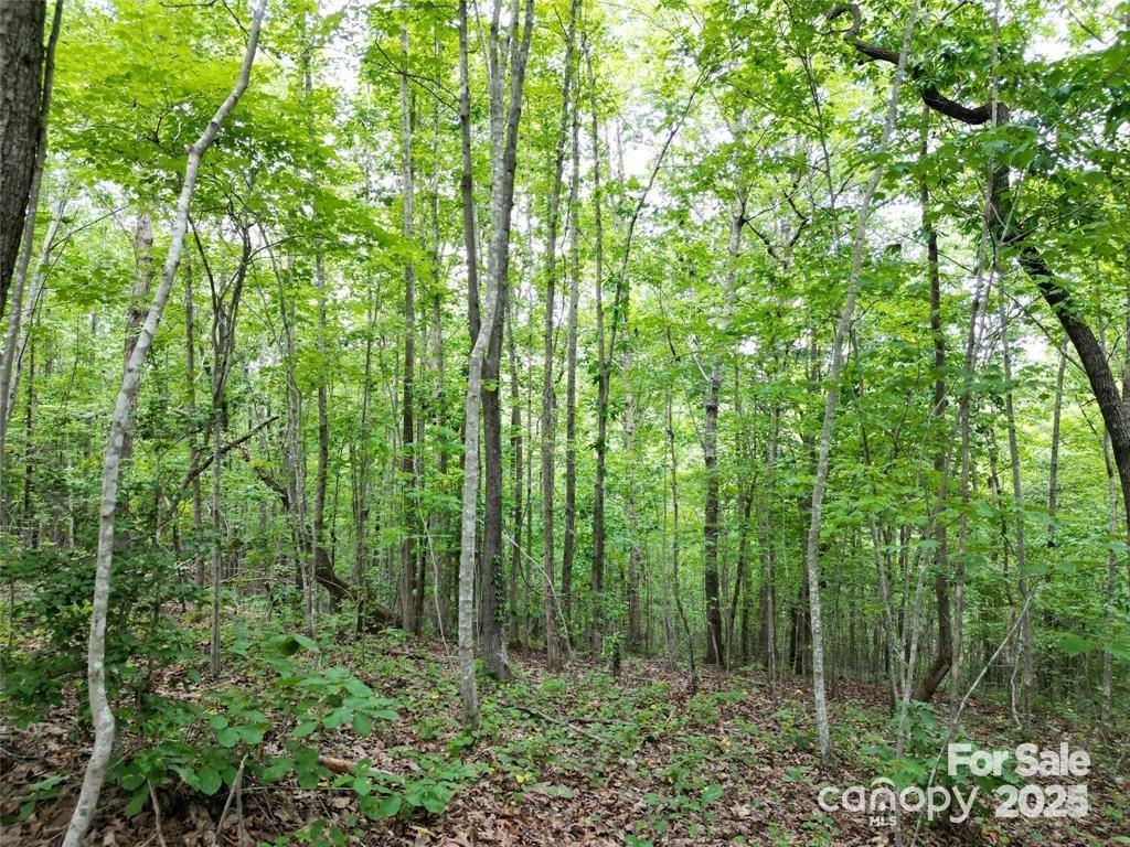 Lot 29 Watson Way Rockingham NC 28379