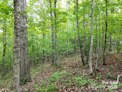 Lot 29 Watson Way Rockingham NC 28379