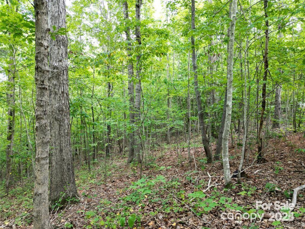 Lot 29 Watson Way Rockingham NC 28379