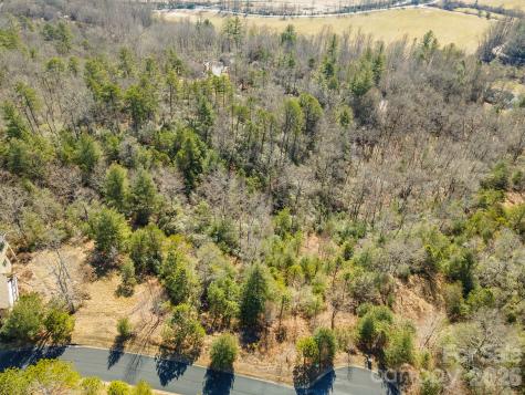 99999 Woodhen Way Horse Shoe NC 28742