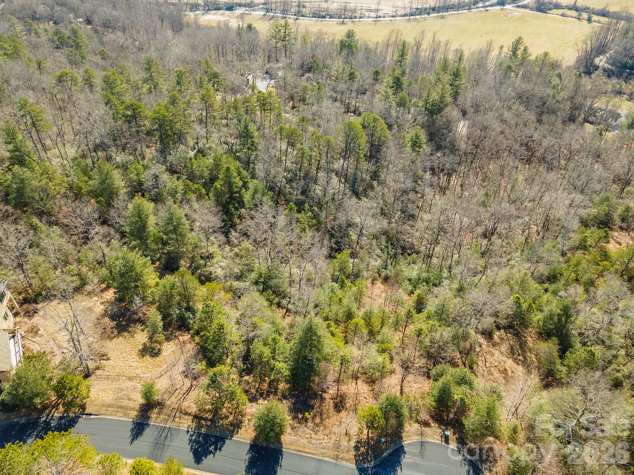99999 Woodhen Way Horse Shoe NC 28742