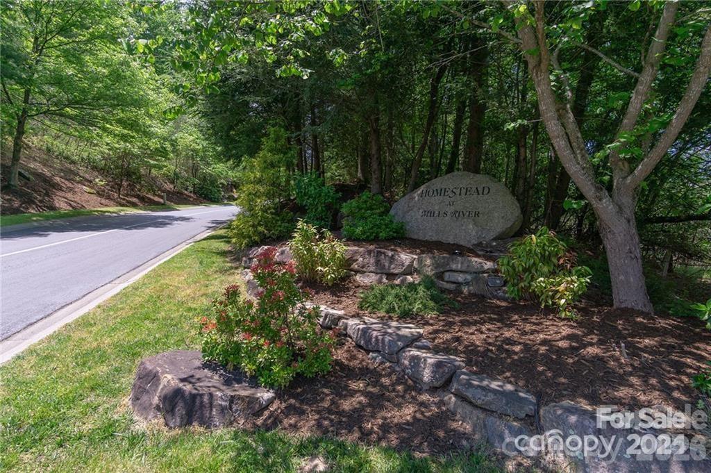 99999 Woodhen Way Horse Shoe NC 28742
