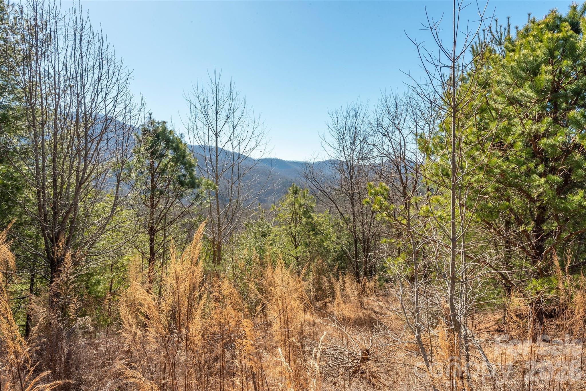 99999 Woodhen Way Horse Shoe NC 28742