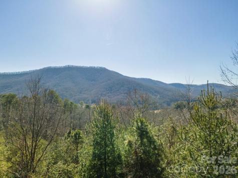 99999 Woodhen Way Horse Shoe NC 28742