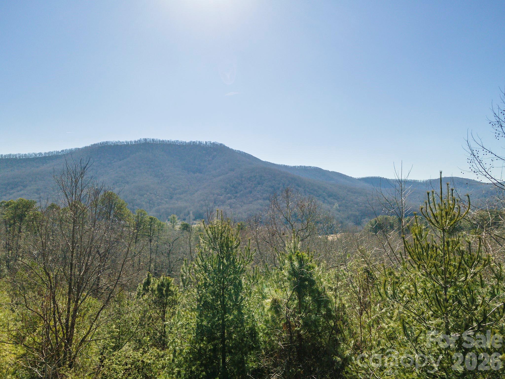 99999 Woodhen Way Horse Shoe NC 28742