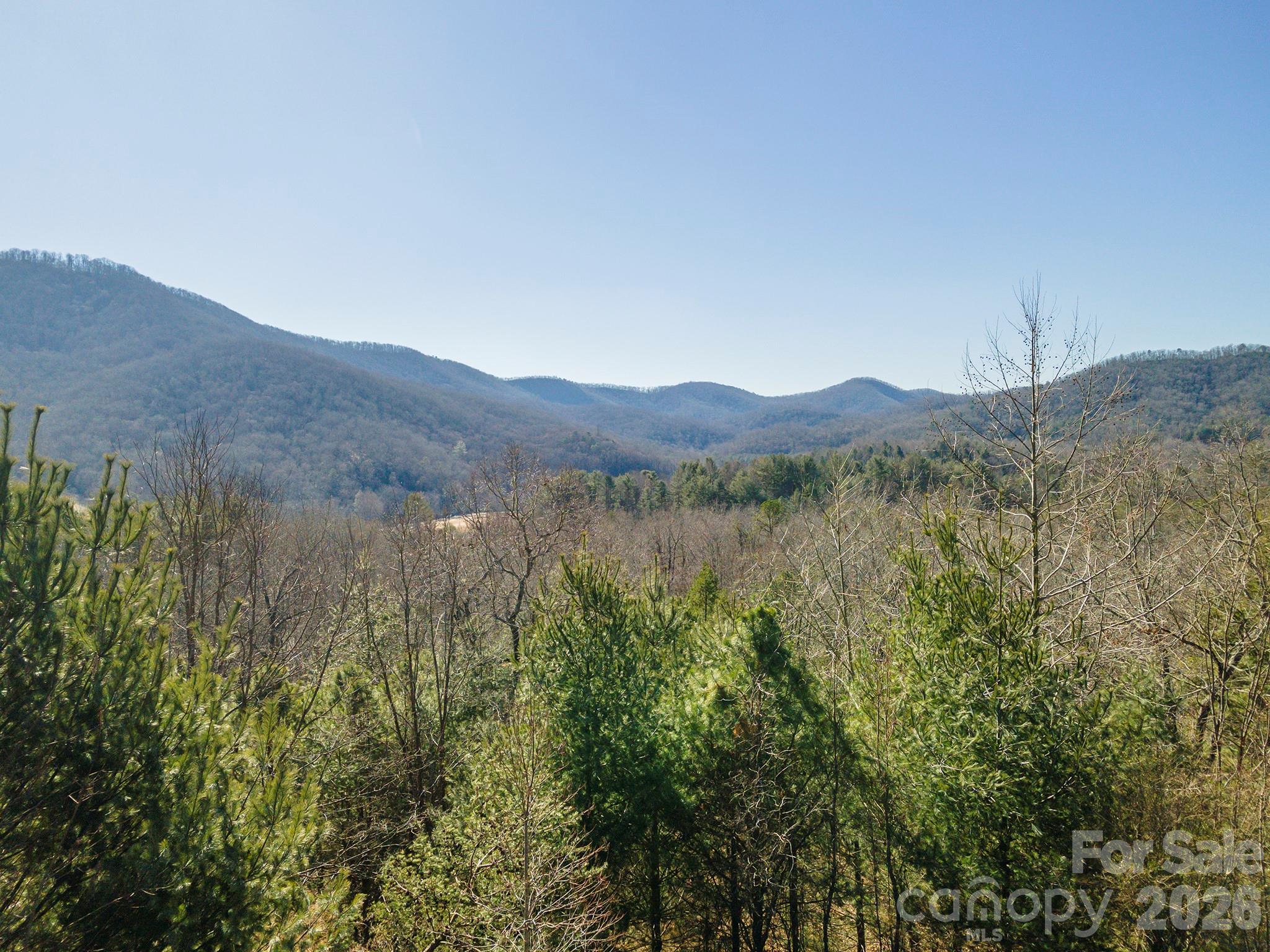 99999 Woodhen Way Horse Shoe NC 28742